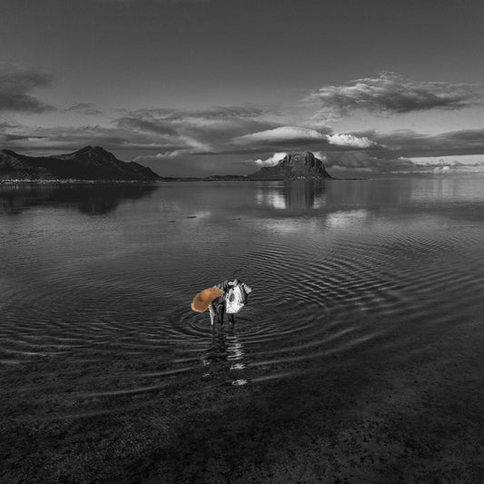 PECHEUSE DE TEC-TECS AVEC CHAPEAU VERS LE MORNE 03