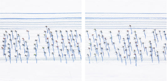 THE RIDE OF THE KNIGHT (DIPTYCH)