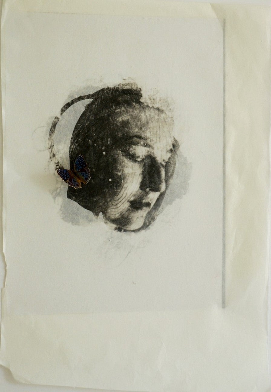 DIDIER MAHIEU | ANNA AU PAPILLON