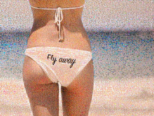 FLY AWAY