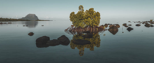 EFFETS MIROIR A L'ILOT FORTIER VERS LE MORNE LIMITED EDITION
