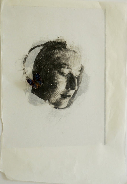 DIDIER MAHIEU | ANNA AU PAPILLON
