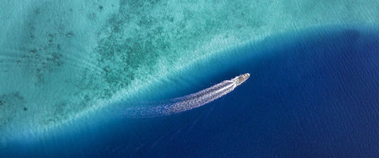 LES FONDS MARINS 03