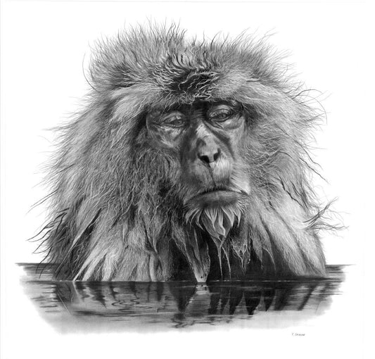 SINGE DU JAPON 2